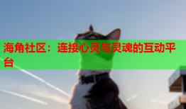 海角社区：连接心灵与灵魂的互动平台