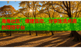 海角社区：便捷互动，分享生活点滴的理想平台