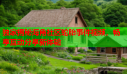 独家揭秘海角社区轮胎事件视频，畅享互动分享新体验