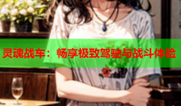 灵魂战车：畅享极致驾驶与战斗体验