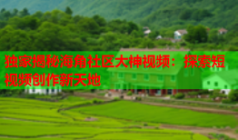 独家揭秘海角社区大神视频：探索短视频创作新天地