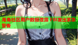 海角社区用户数据泄露 FBI发出紧急警告