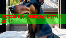 连接邻里生活，畅享海角社区在线互动平台