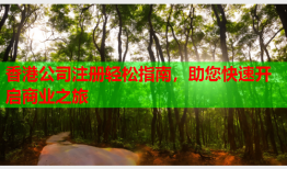 香港公司注册轻松指南，助您快速开启商业之旅