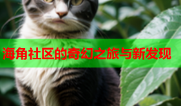 海角社区的奇幻之旅与新发现