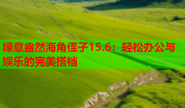 绿意盎然海角侄子15.6：轻松办公与娱乐的完美搭档