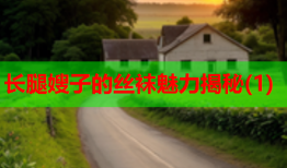 长腿嫂子的丝袜魅力揭秘(1)