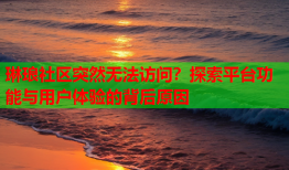 琳琅社区突然无法访问？探索平台功能与用户体验的背后原因