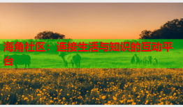 海角社区：连接生活与知识的互动平台