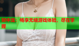 狱中龙：畅享无缝游戏体验，尽在掌握
