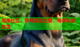 海角社区：探寻禁忌之爱，畅享私密交流