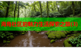 海角社区的魅力生活探索之旅(3)