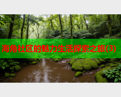 海角社区的魅力生活探索之旅(3)
