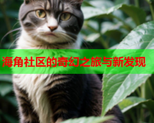 海角社区的奇幻之旅与新发现