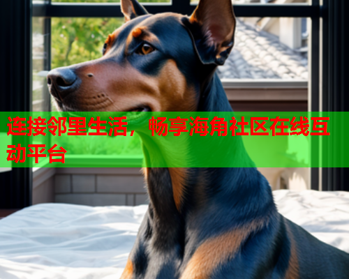 连接邻里生活，畅享海角社区在线互动平台