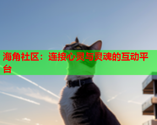 海角社区：连接心灵与灵魂的互动平台